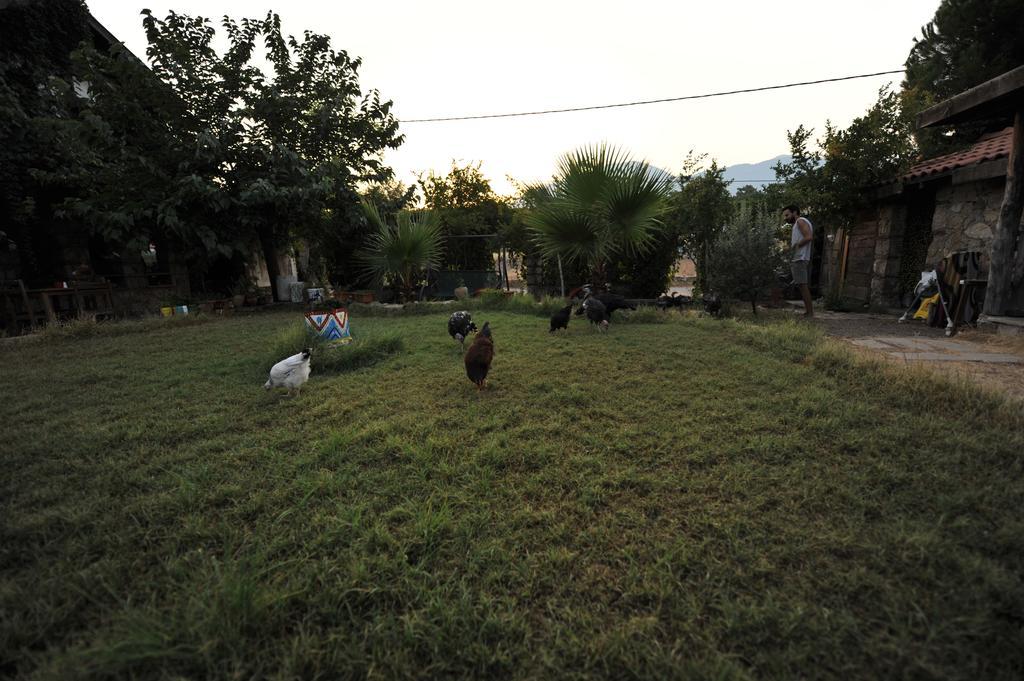 Olympos Koyevi Countryhouse Exterior foto