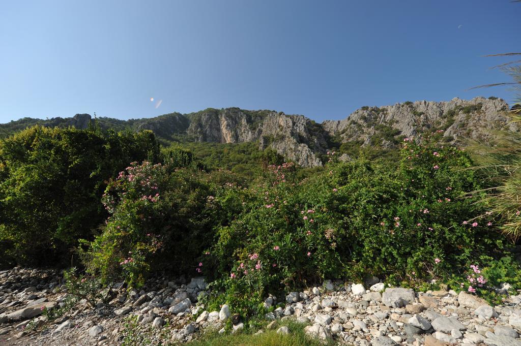 Olympos Koyevi Countryhouse Exterior foto