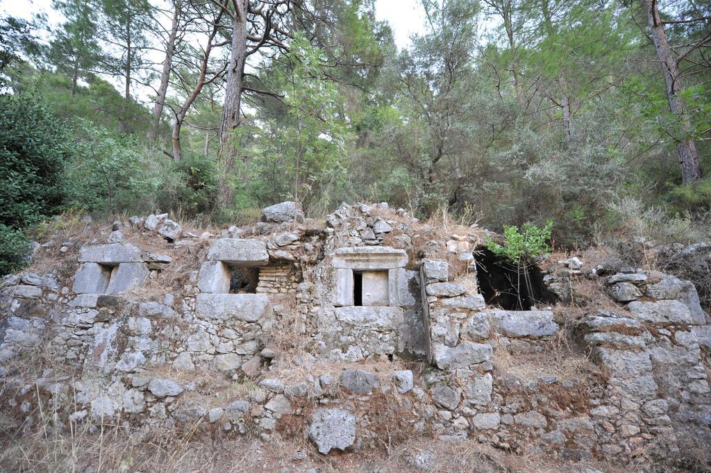 Olympos Koyevi Countryhouse Exterior foto